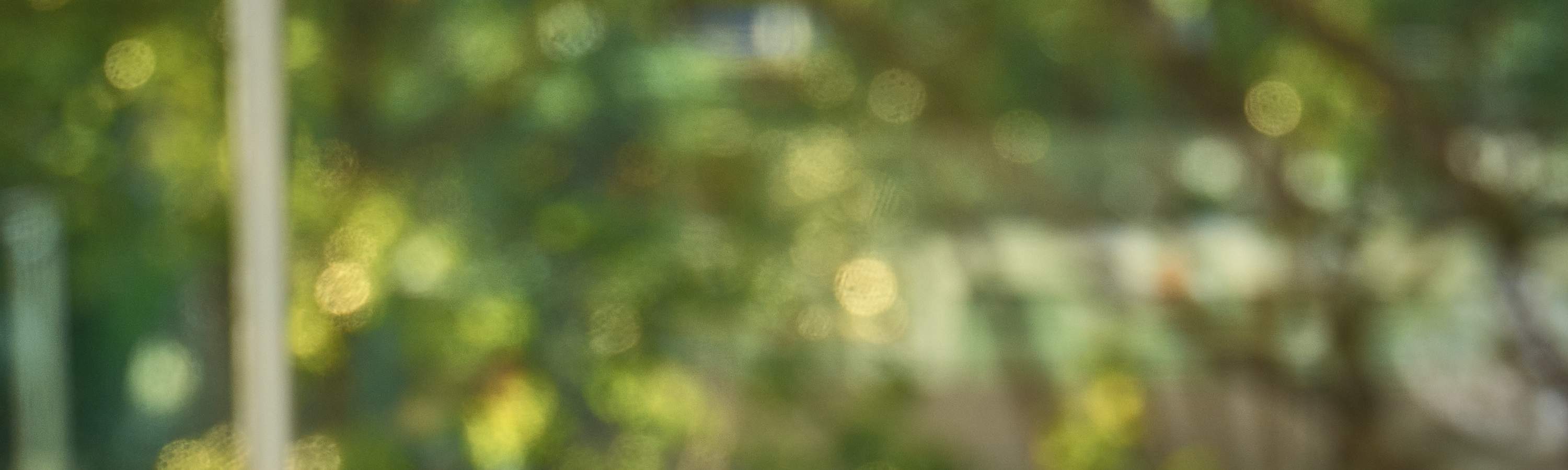 [Diskaun Bufet] Hotel Shenzhen Galaxy Ritz-Carlton - Baucar Bufet